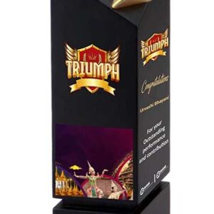 Wooden Cup Block Trophy